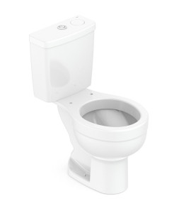 Bacia Com Caixa Acoplada Ecoflush 3/6 Lts Smart Clean Acesso Confort Branco Celite